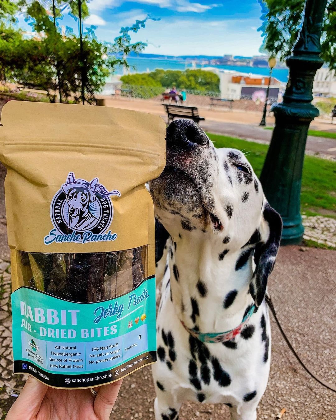 Rabbit Bites - Air-dried Natural Dog Treats - Image 3